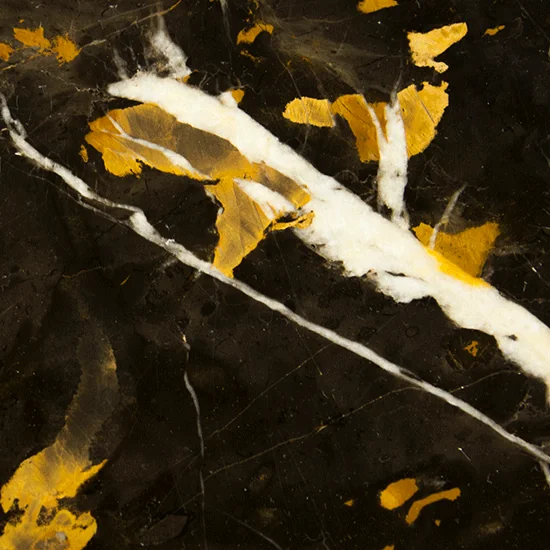 Black and Gold Marble
